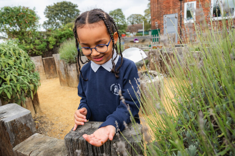 Stopsley Primary-146